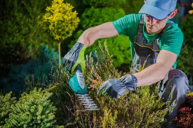landscaping services Sunrise Beach